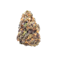 Purple Punch