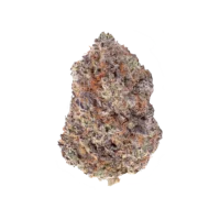 Berry Gelato