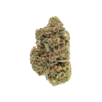 Jealousy X Banana Cream